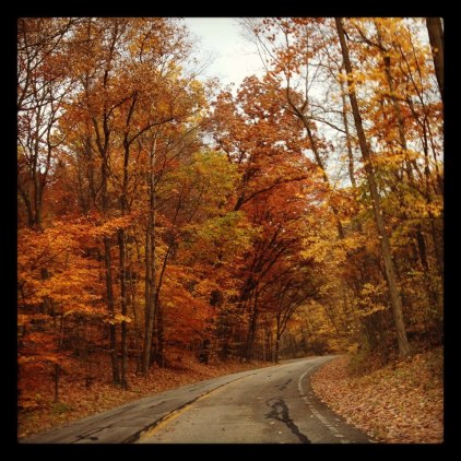 fall-leaves-in-cuy-falls